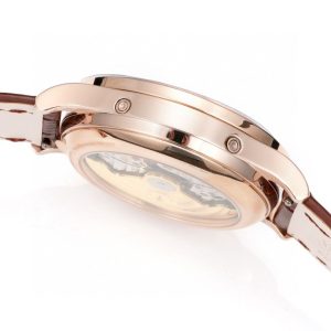 Patek Philippe Complications 38mm Super Clone Watch | Cash on Delivery 1036335848 - top view | Complications