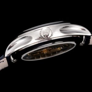 Patek Philippe Complications Super Clone Watch | Luxury Replica with COD 1138520122